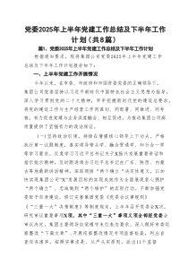 党委2025年上半年党建工作总结及下半年工作计划精选（8篇）