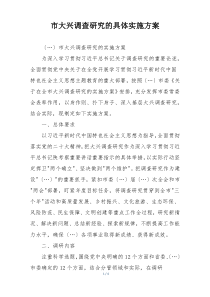 市大兴调查研究的具体实施方案