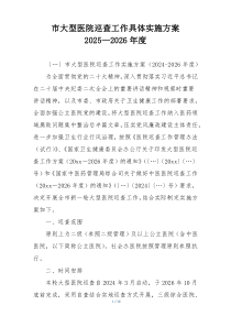 市大型医院巡查工作具体实施方案2025—2026年度