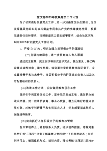 党支部2025年发展党员工作计划 精选（共五篇）
