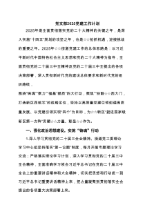 党支部党建工作计划 6篇范文
