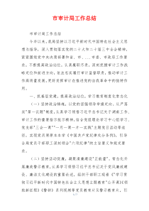 市审计局工作总结