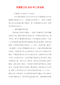 市爱国卫生2025年工作总结