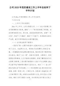 公司2025年党的建设工作上半年总结和下半年计划