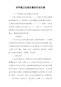 市环境卫生综合整治行动方案