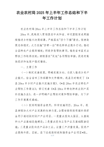 农业农村局2025年上半年工作总结和下半年工作计划