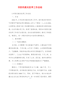 市防汛救灾抗旱工作总结