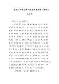 县统计局长在统计数据质量核查工作会上的讲话