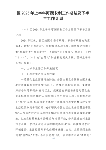 区2025年上半年河湖长制工作总结及下半年工作计划