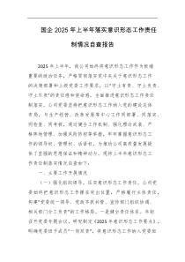 国企2025年上半年落实意识形态工作责任制情况自查报告