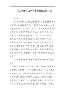 在2025年上半年市委全会上的讲话