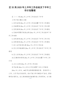 区XX局2025年上半年工作总结及下半年工作计划整理