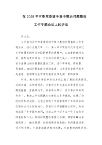 在2025年市委常委班子集中整治问题整改工作专题会议上的讲话