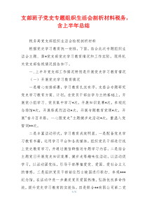 支部班子党史专题组织生活会剖析材料税务，含上半年总结