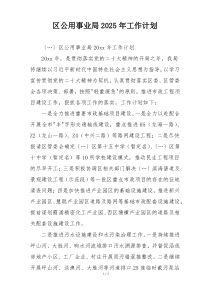区公用事业局2025年工作计划