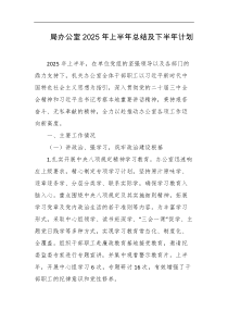 局办公室2025年上半年总结及下半年计划