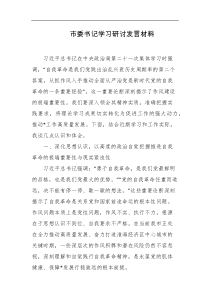 市委书记学习研讨发言材料