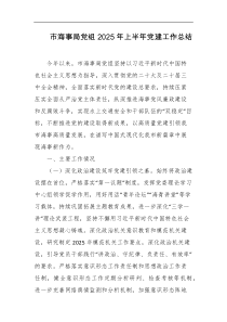 市海事局党组2025年上半年党建工作总结