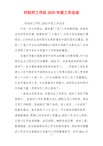 村驻村工作队2025年度工作总结