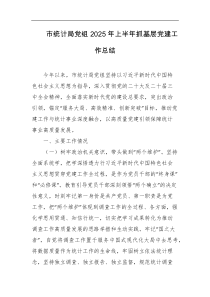 市统计局党组2025年上半年抓基层党建工作总结
