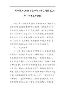 某审计局2025年上半年工作总结及2025年下半年工作计划
