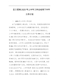 区工信局2025年上半年工作总结和下半年工作计划