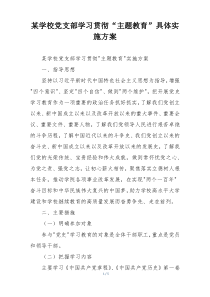 某学校党支部学习贯彻“主题教育”具体实施方案