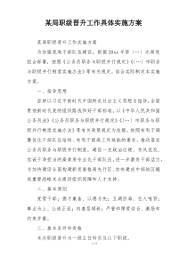某局职级晋升工作具体实施方案