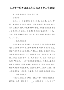 县上半年政务公开工作总结及下步工作计划