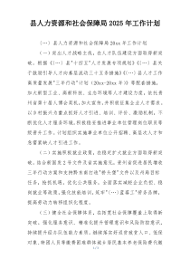 县人力资源和社会保障局2025年工作计划