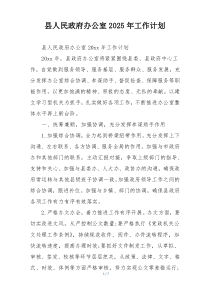 县人民政府办公室2025年工作计划