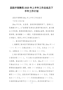 县医疗保障局2025年上半年工作总结及下半年工作计划