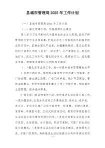 县城市管理局2025年工作计划