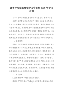 县审计局党组理论学习中心组2025年学习计划