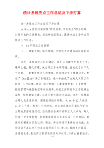 统计系统亮点工作总结及下步打算