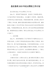 县应急局2025年定点帮扶工作计划