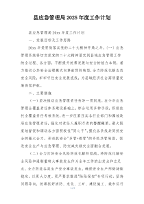 县应急管理局2025年度工作计划