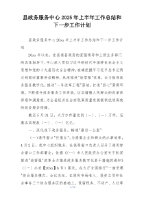县政务服务中心2025年上半年工作总结和下一步工作计划