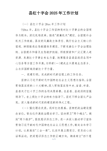 县红十字会2025年工作计划