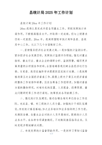 县统计局2025年工作计划