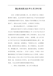 国企党支部2025年5月工作计划