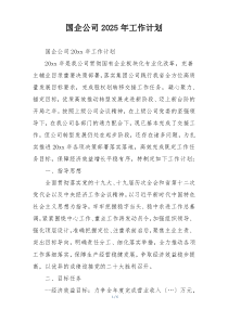 国企公司2025年工作计划