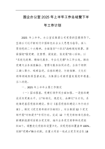 国企办公室2025年上半年工作总结暨下半年工作计划