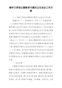 镇学习贯彻主题教育专题民主生活会工作方案