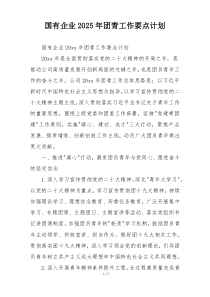 国有企业2025年团青工作要点计划