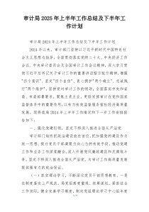 审计局2025年上半年工作总结及下半年工作计划
