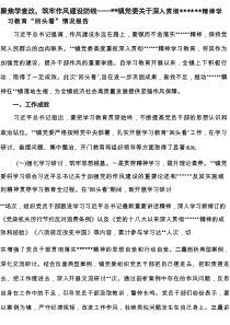 2025年4-7月乡镇党委关于深入贯彻精神学习教育“回头看”情况报告