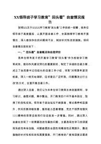 2025年7月学习教育”回头看”自查报告5个合集