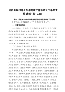 局机关2025年上半年党建工作总结及下半年工作计划10篇范文