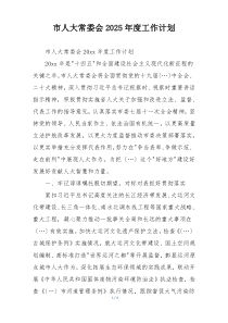 市人大常委会2025年度工作计划